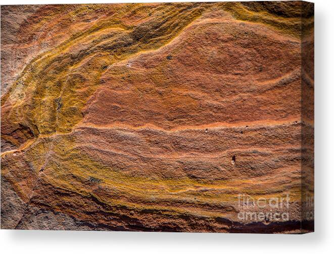 Valley Of Fire Canvas Print featuring the photograph Autumn Colors by Stephen Whalen