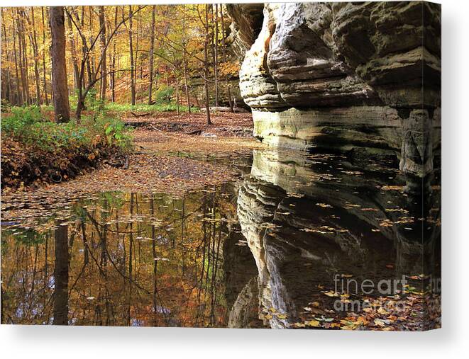 Autumn Canvas Print featuring the photograph Autumn Comes To Illinois Canyon by Paula Guttilla