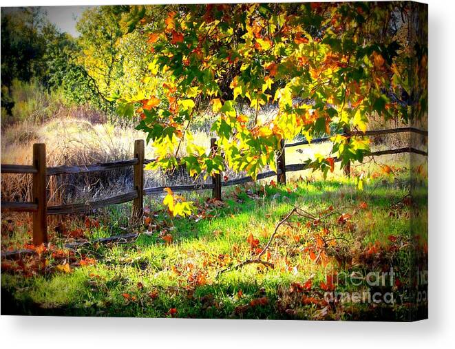 Fences Canvas Print featuring the photograph Autumn Fence by Carol Groenen