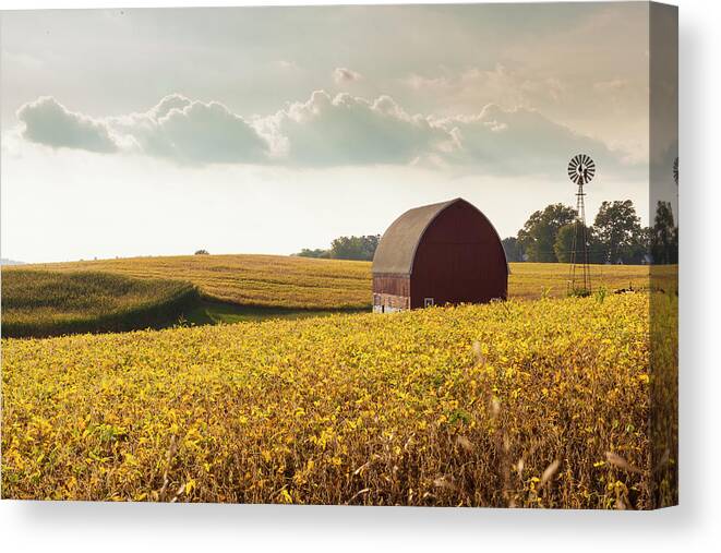 Autumn Canvas Print featuring the photograph Autumn Field by Mark Mille