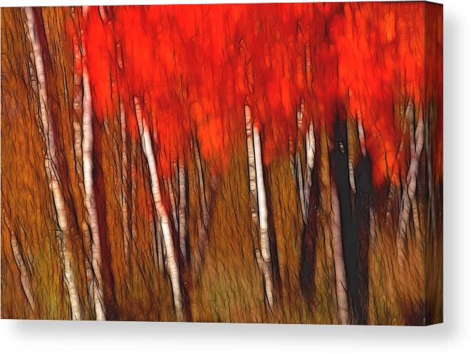 Trees Canvas Print featuring the photograph Autumn Fire by Bill Morgenstern