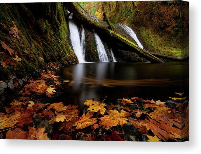Autumn Canvas Print featuring the photograph Autumn Flashback by Andrew Kumler