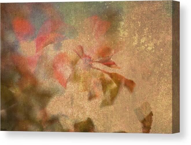 Coral Canvas Print featuring the digital art Autumn Fugue by Cheryl Charette