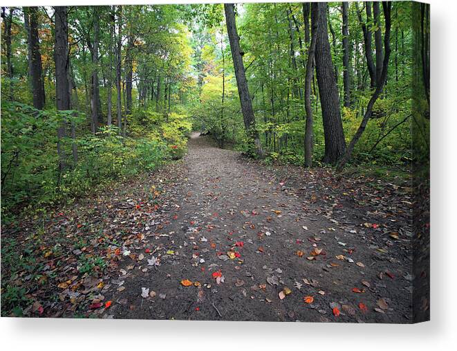 Autumn Canvas Print featuring the photograph Autumn In The Woods by Jackson Pearson