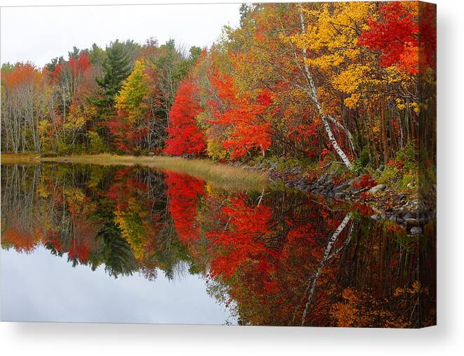 Canada Canvas Print featuring the photograph Autumn Lake, Nova Scotia by Gary Corbett