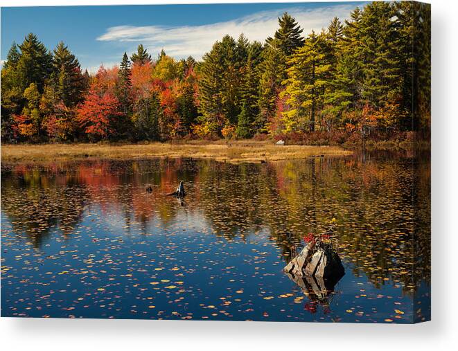 Autumn Canvas Print featuring the photograph Autumn Lake Reflections by Irwin Barrett