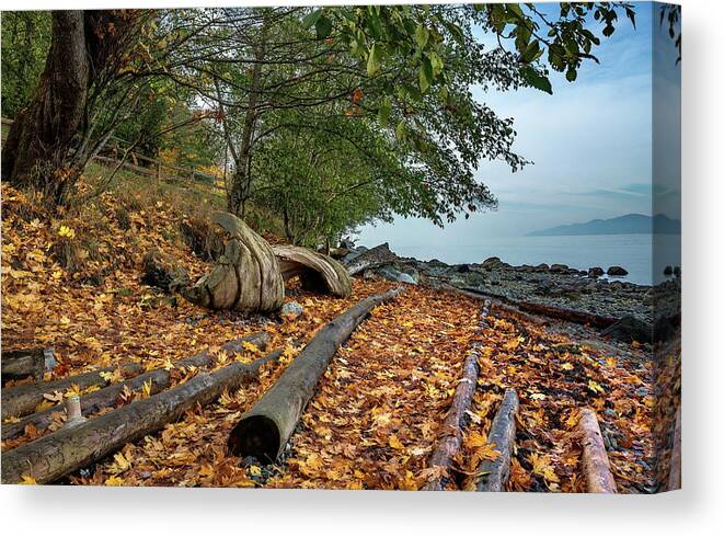 Alex Lyubar Canvas Print featuring the photograph Autumn landscape on a wild beach by Alex Lyubar