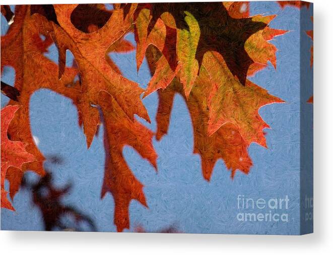 Autumn Canvas Print featuring the photograph Autumn Leaves 6 by Jean Bernard Roussilhe