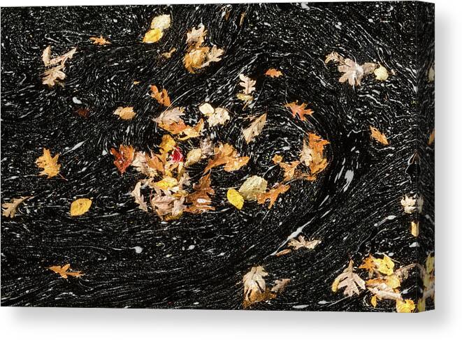 David Letts Canvas Print featuring the photograph Autumn Leaves Abstract by David Letts