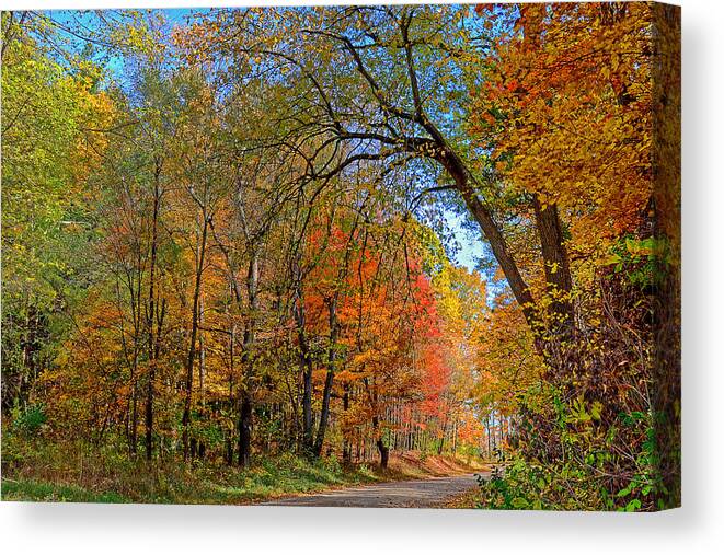 Autumn Canvas Print featuring the photograph Autumn Light by Rodney Campbell