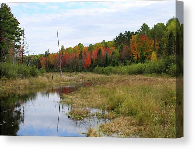 Autumn Canvas Print featuring the photograph Autumn Marsh View by Brook Burling