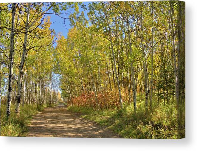 Autumn Canvas Print featuring the photograph Autumn on the trail by Jim Sauchyn