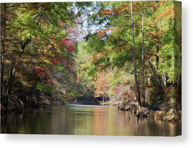 Autumn Canvas Print featuring the photograph Autumn Over Golden Waters by Lana Trussell
