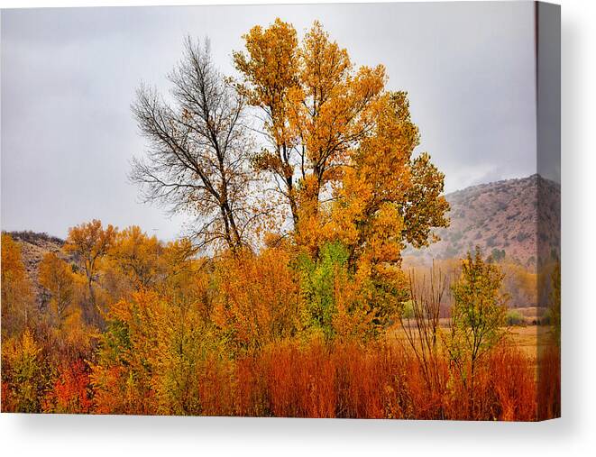 Autumn Canvas Print featuring the photograph Autumn Rain in Chimayo by Robert Meyers-Lussier