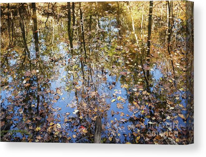 Autumn Canvas Print featuring the photograph Autumn Reflections by Dennis Hedberg