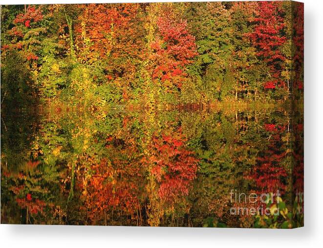 Autumn Canvas Print featuring the photograph Autumn Reflections In A Pond by Smilin Eyes Treasures