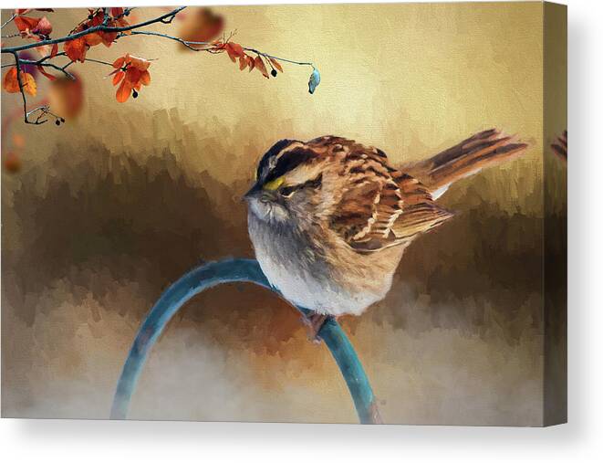 Bird Canvas Print featuring the photograph Autumn Sparrow by Cathy Kovarik