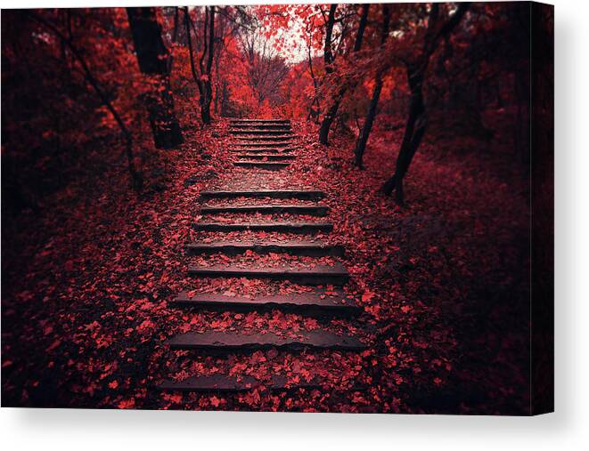 Autumn Canvas Print featuring the photograph Autumn Stairs by Zoltan Toth