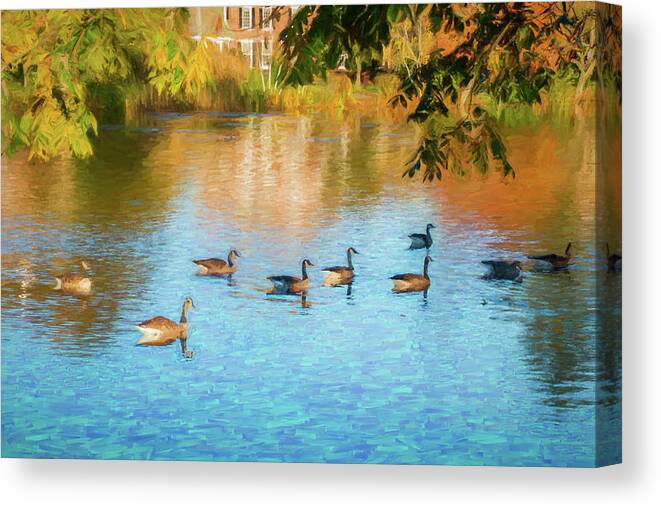 Geese Canvas Print featuring the photograph Autumn Swim by Cathy Kovarik