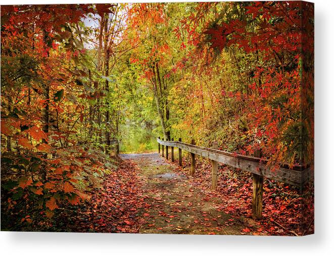 Appalachia Canvas Print featuring the photograph Autumn Trail at Full Color by Debra and Dave Vanderlaan