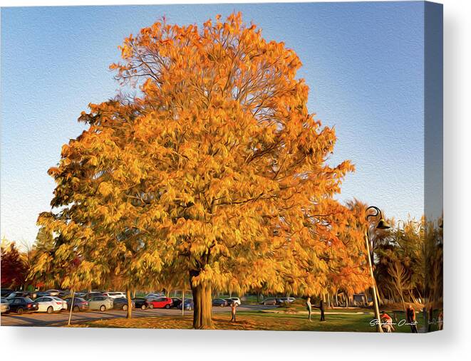 Fall Canvas Print featuring the digital art Autumn Tree - Digital Oil by Birdly Canada