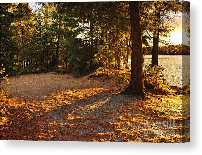 Trees Canvas Print featuring the photograph Autumn trees near lake by Elena Elisseeva