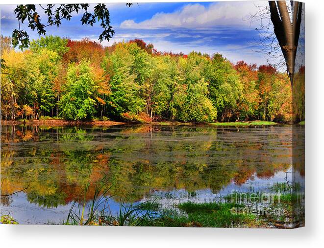 Diane Berry Canvas Print featuring the photograph Autumn Wonders by Diane E Berry