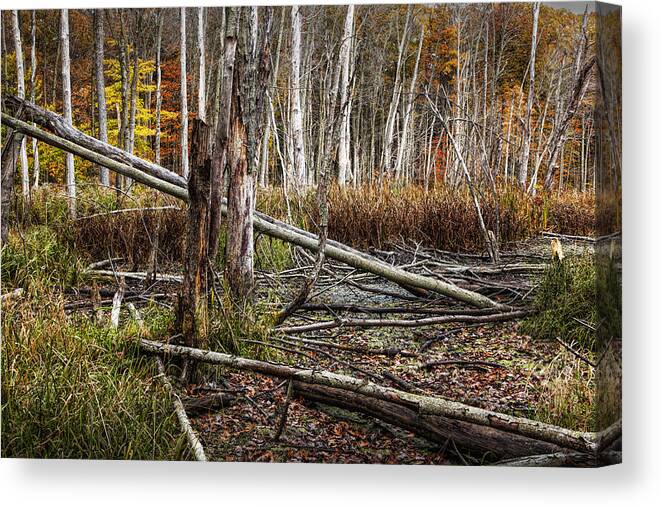 Marsh Canvas Print featuring the photograph Autumn Woodland Marsh Scene by Randall Nyhof
