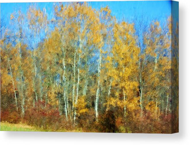  Canvas Print featuring the photograph Autumn woodlot by David Lane