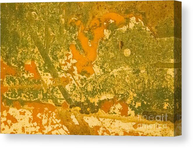 Abstracts Canvas Print featuring the photograph Autumn's Colours by Marilyn Cornwell