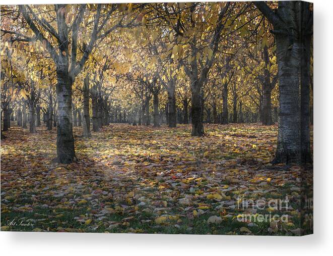 Day Of Colours Canvas Print featuring the photograph AutumnS Strokes by Bruno Santoro