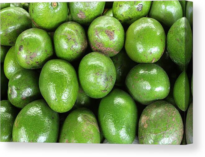 Food Canvas Print featuring the photograph Avocados 243 by Michael Fryd
