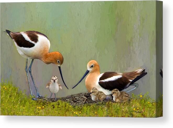 Avocet Canvas Print featuring the digital art Avocet Family by Thanh Thuy Nguyen