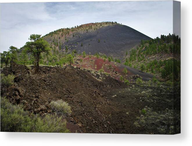 Arizona Canvas Print featuring the photograph AZ Landscape from Lava Trail No. 3 by David Gordon