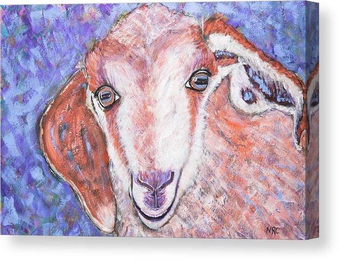 Goat Canvas Print featuring the photograph Baby Goat by Natalie Rotman Cote