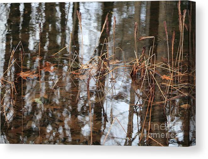 Pond Canvas Print featuring the photograph Back Yard Pond by Elizabeth Dow