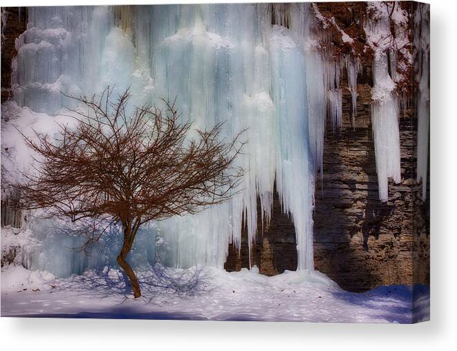 Snow Canvas Print featuring the photograph Backdrop by Amanda Jones