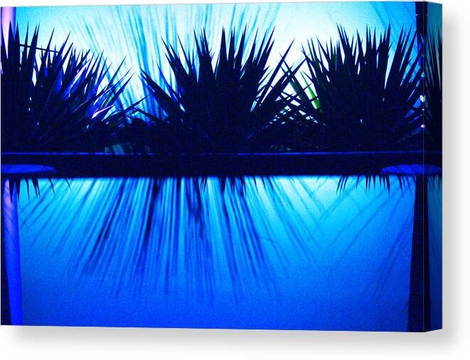 Blue Canvas Print featuring the photograph Backlit by Blue by Richard Henne