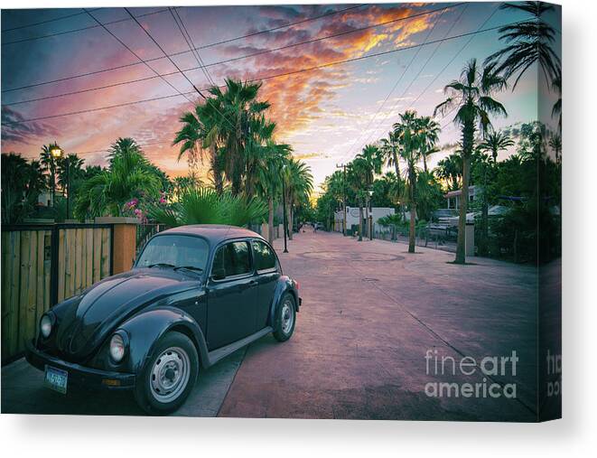 Beetle Canvas Print featuring the photograph Baja Beetle by Becqi Sherman