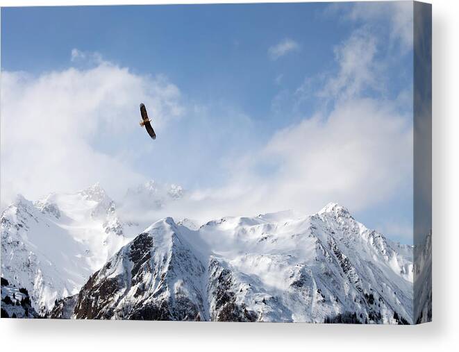 Alaska Canvas Print featuring the photograph Bald eagle over mountains by Michele Cornelius