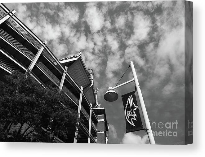 Baltimore Ravens Canvas Print featuring the photograph Baltimore Ravens NFL Stadium Black and White by James Brunker