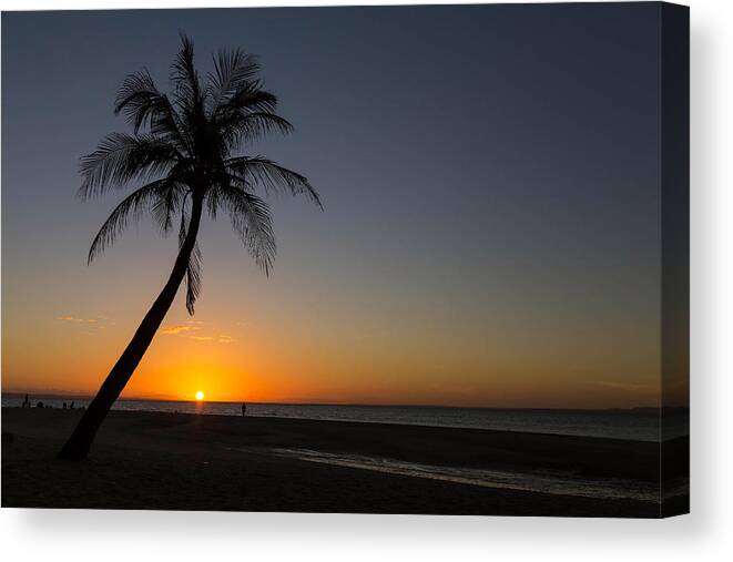 Palm Canvas Print featuring the photograph Bantayan Sunrise by James BO Insogna