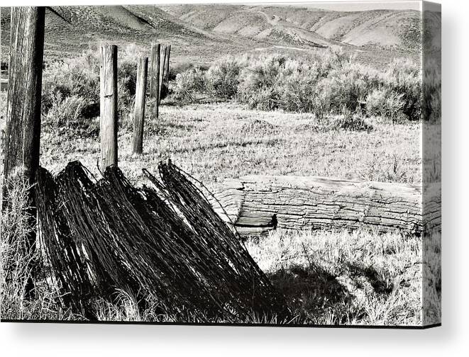 Barb Wire Canvas Print featuring the photograph Fenceline by Vice Photo