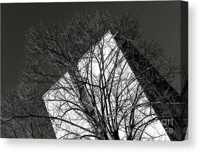 Architecture Canvas Print featuring the photograph Bare Tree And Social House by Diego Muzzini