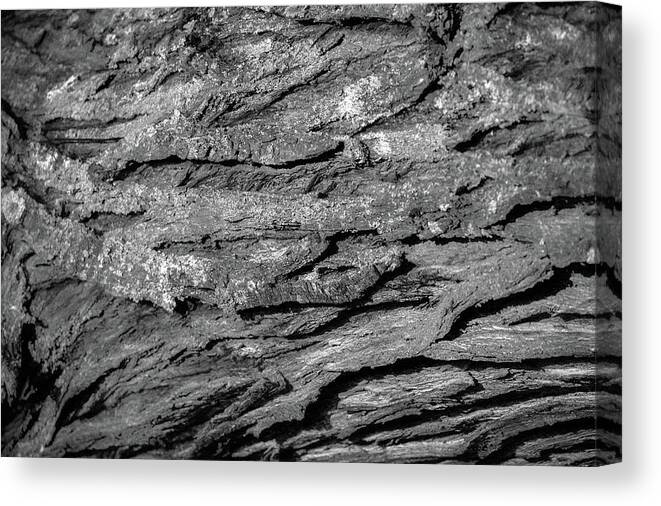 Bark Canvas Print featuring the photograph Bark #g9 by Leif Sohlman