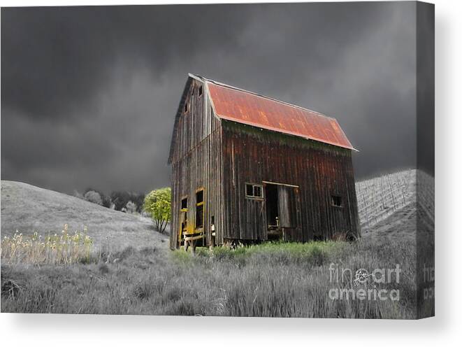 Old Barn Canvas Print featuring the photograph Barn Life by TK Goforth