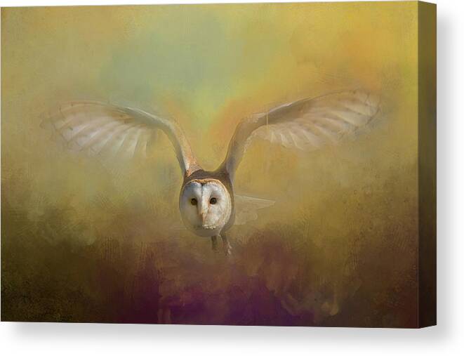 Owl Canvas Print featuring the digital art Barn Owl by Jim Hatch