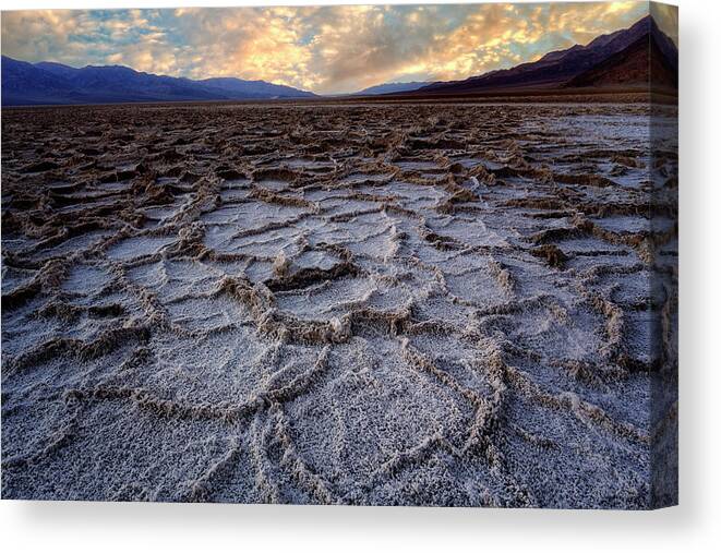 Desert Canvas Print featuring the photograph Barren by Nicki Frates