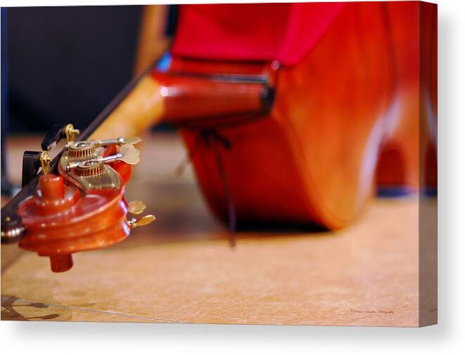 String Canvas Print featuring the photograph Bass at Rest by Constance Sanders