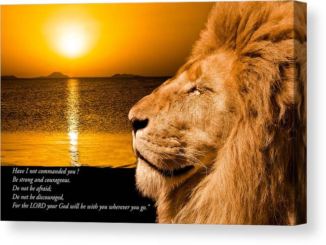 Lion Canvas Print featuring the photograph Be strong and courageous by Scott Carruthers